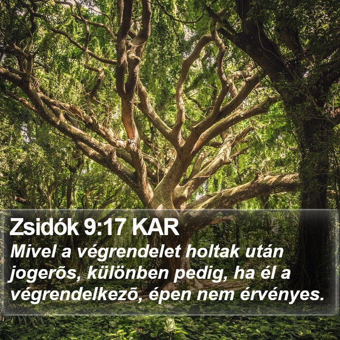 Zsidók 9:17 KAR Bible Study