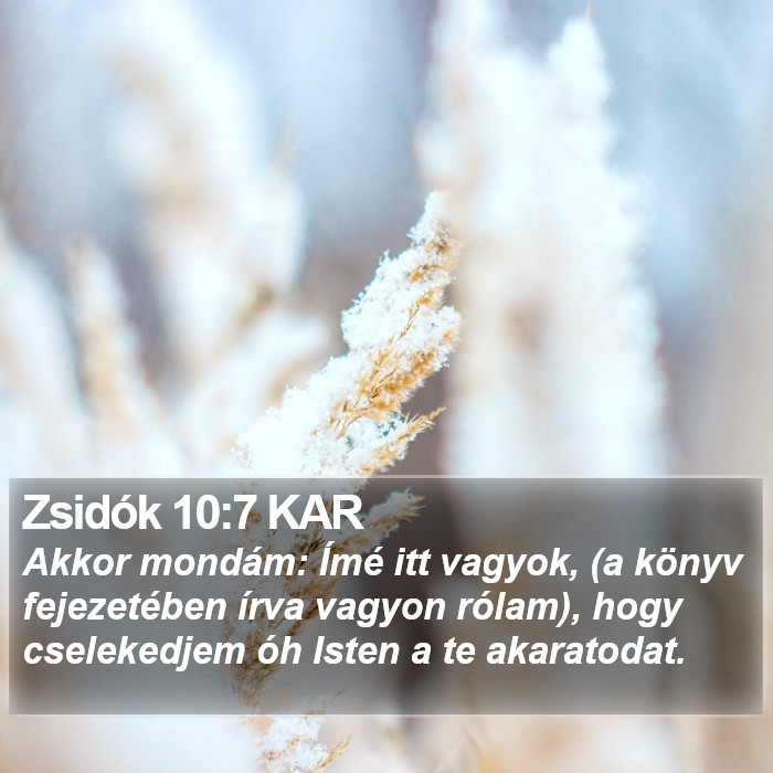 Zsidók 10:7 KAR Bible Study
