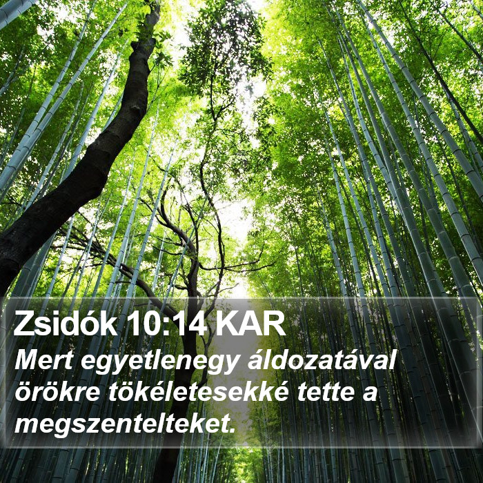 Zsidók 10:14 KAR Bible Study