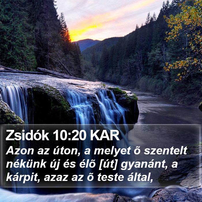 Zsidók 10:20 KAR Bible Study