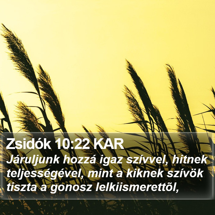 Zsidók 10:22 KAR Bible Study