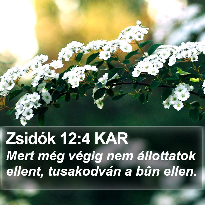 Zsidók 12:4 KAR Bible Study
