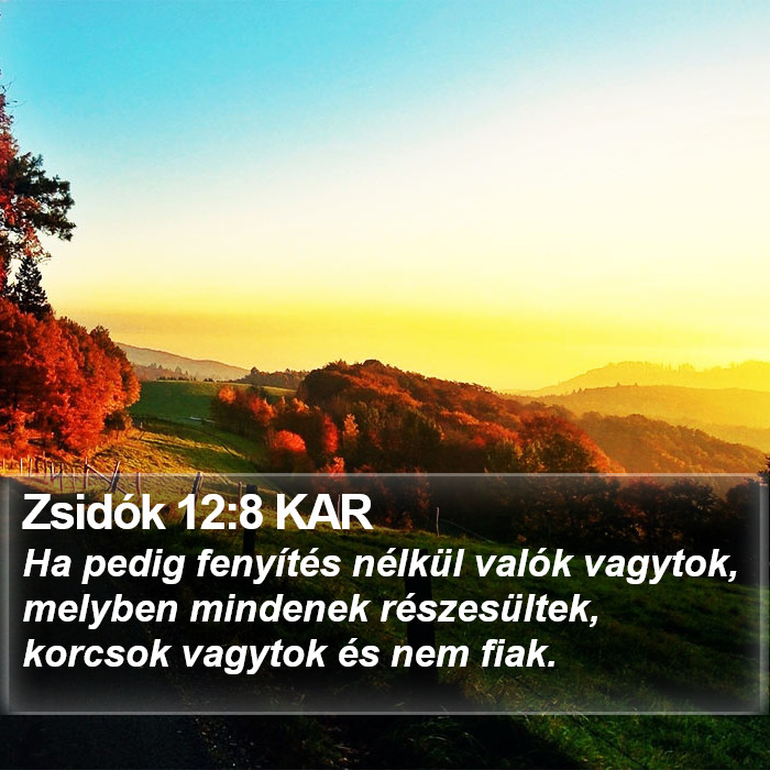 Zsidók 12:8 KAR Bible Study