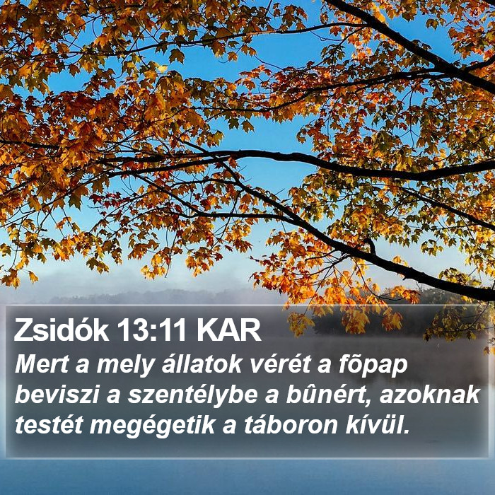 Zsidók 13:11 KAR Bible Study