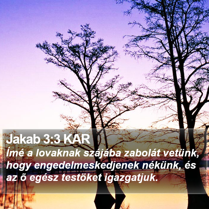 Jakab 3:3 KAR Bible Study