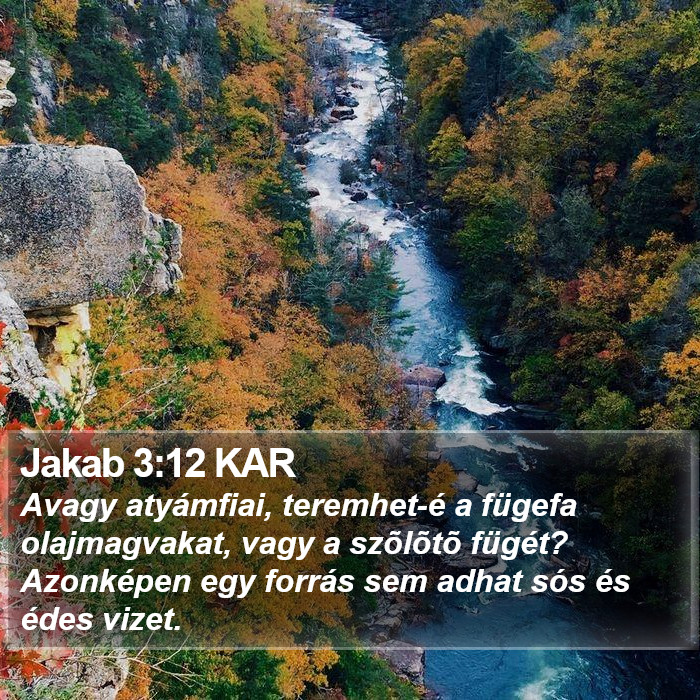 Jakab 3:12 KAR Bible Study