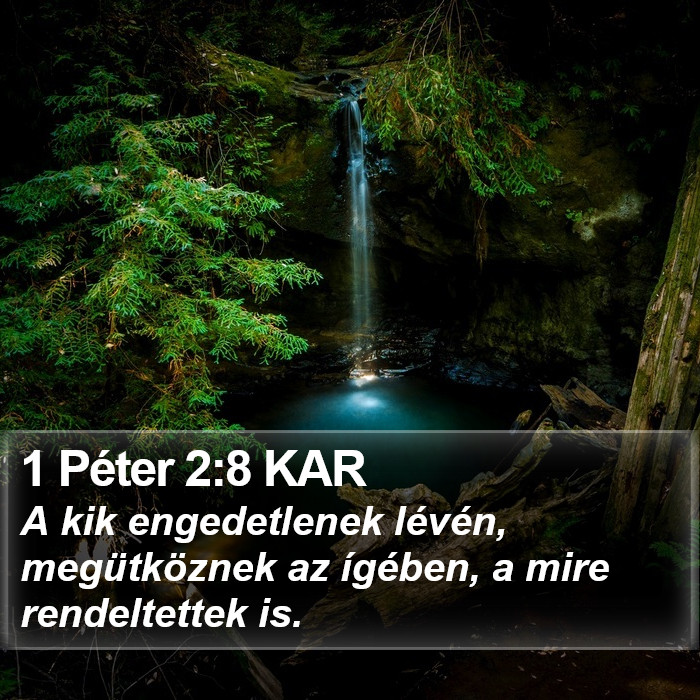 1 Péter 2:8 KAR Bible Study