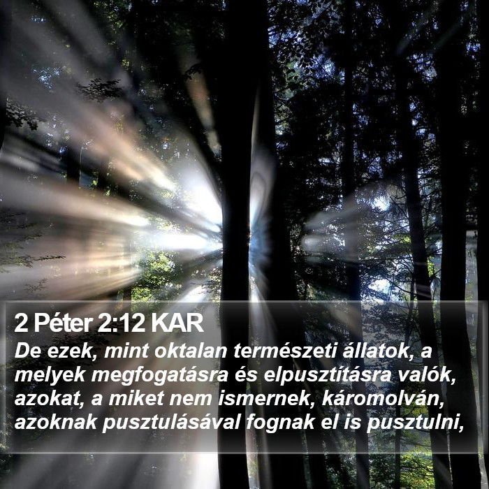 2 Péter 2:12 KAR Bible Study