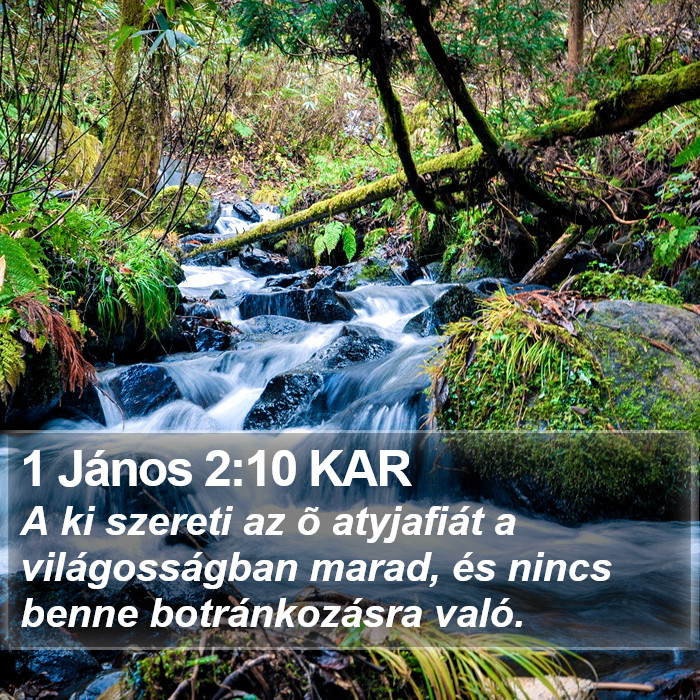 1 János 2:10 KAR Bible Study