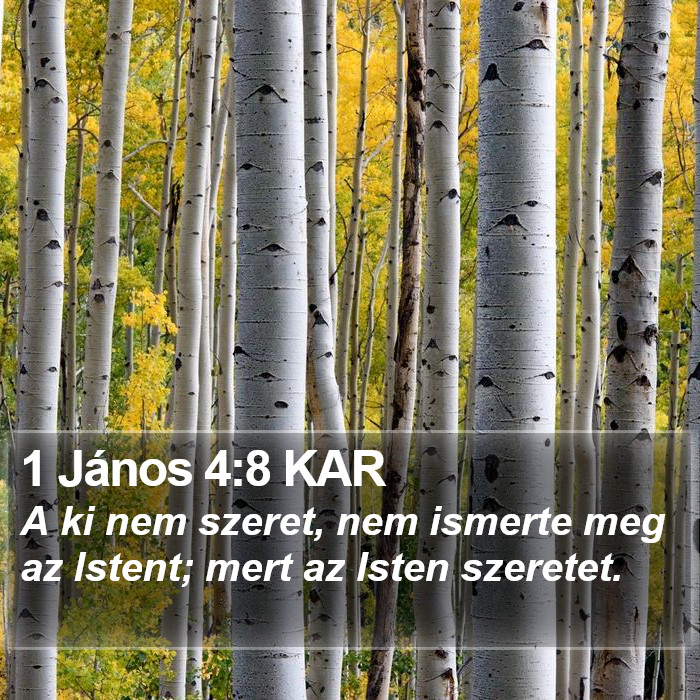 1 János 4:8 KAR Bible Study