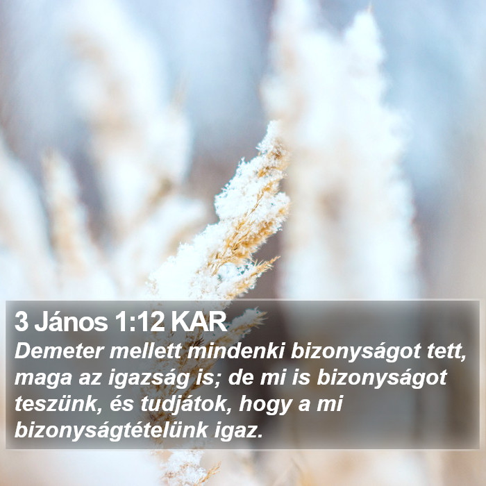 3 János 1:12 KAR Bible Study