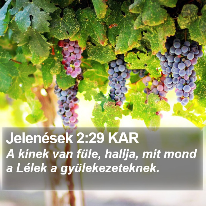 Jelenések 2:29 KAR Bible Study