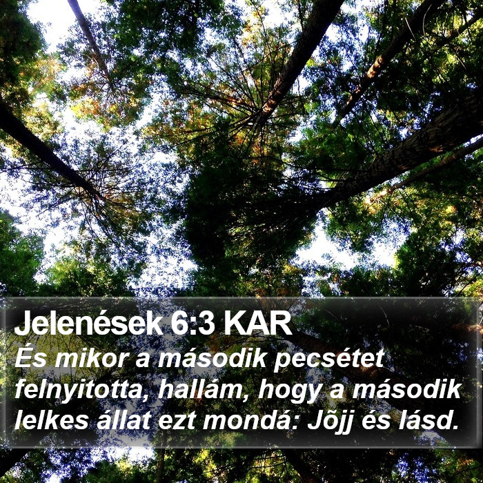 Jelenések 6:3 KAR Bible Study