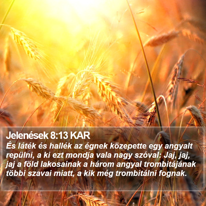 Jelenések 8:13 KAR Bible Study